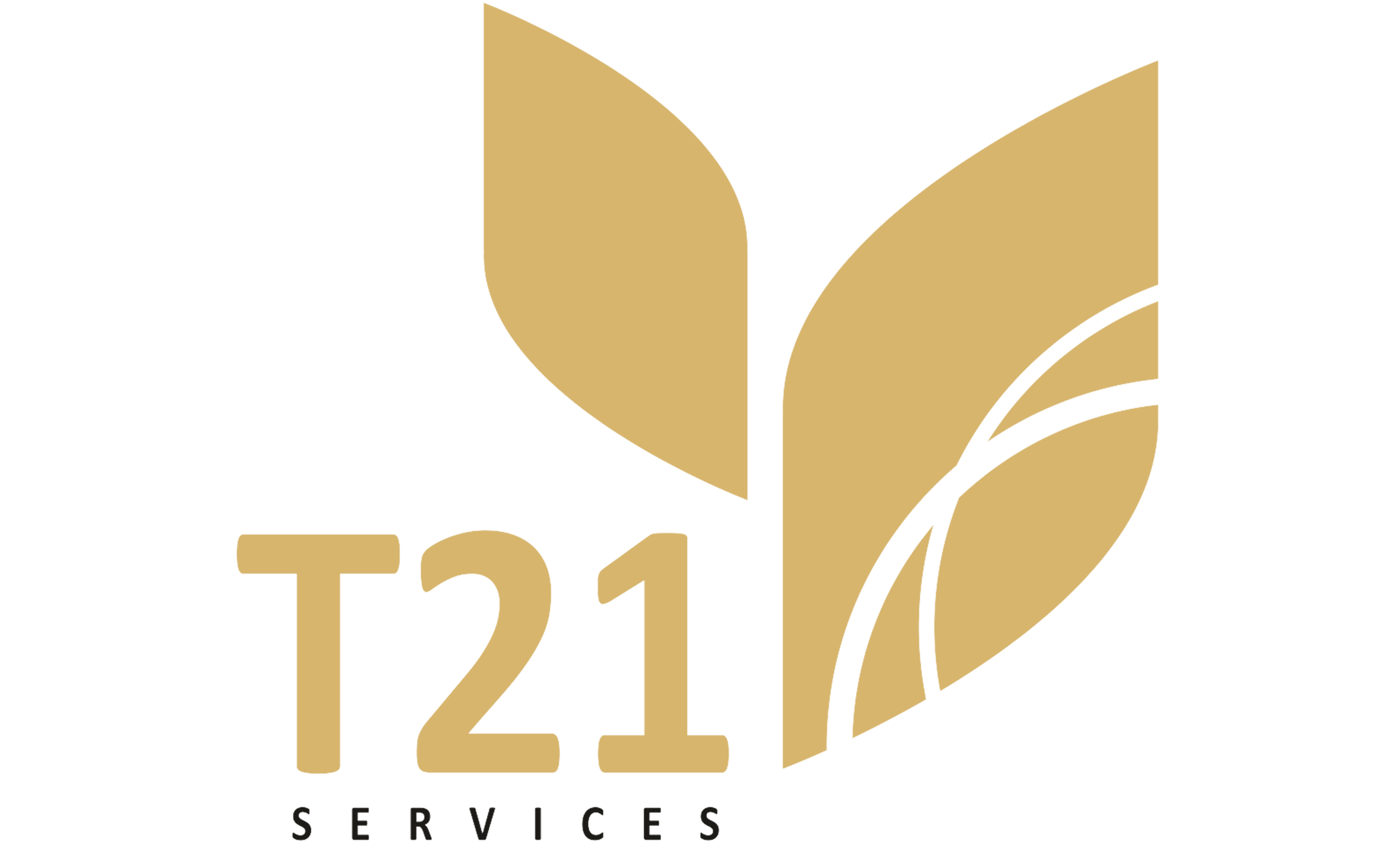 t21services.co.uk